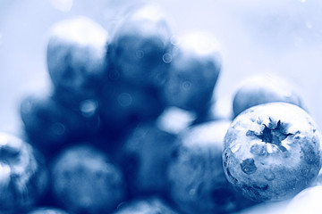 fresh berries blueberries close-up scattered black and white