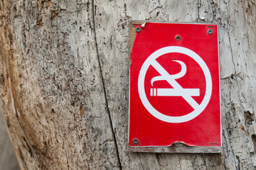 A red sign with a crossed smoking cigarette (smoking is forbidden) is nailed to the trunk of a tree