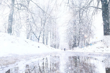 winter landscape / snow-covered trees covered with snow, concept of winter weather, cold climate, north. Christmas landscape in the city park. Without people.