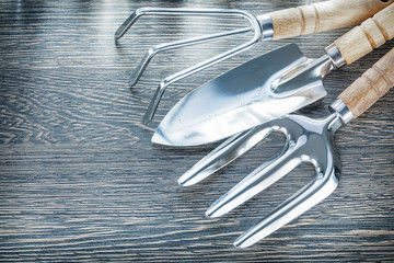 Rake trowel fork hand spade on wooden board