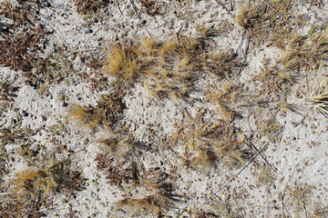 texture desert land sand dunes barkhans, deserts