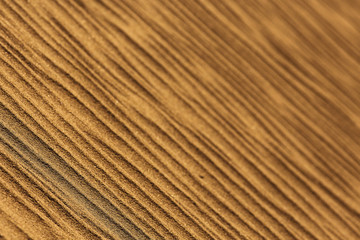 Fototapeta premium texture desert land sand dunes barkhans, deserts