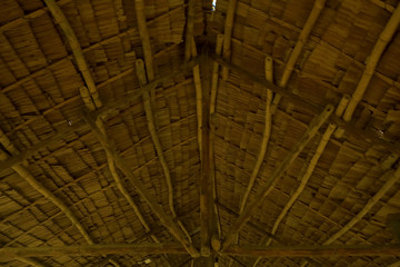 The texture of thatched wicker roof