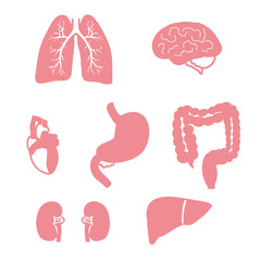 Органы значок