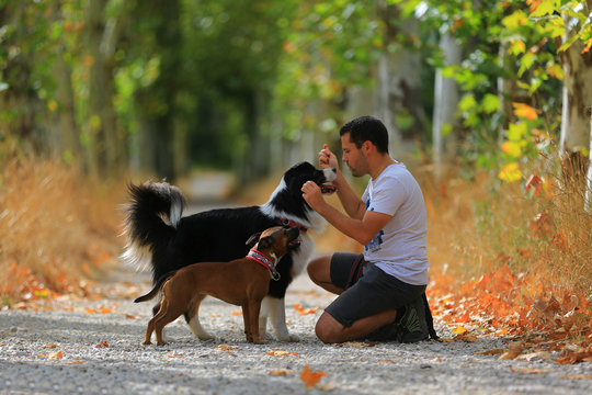 Man with his dog