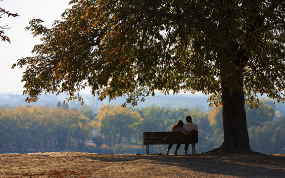 Young couple sitting on a wooden bench under a tree. Kalemegdan park in Belgrade 