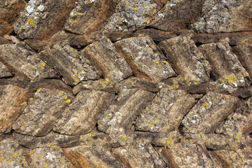 Many walls and houses were made in the past from peat