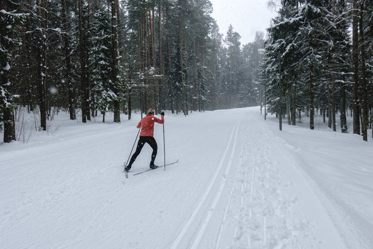 Young adult Caucasian female practising cross-country skiing on a scenic forest trail