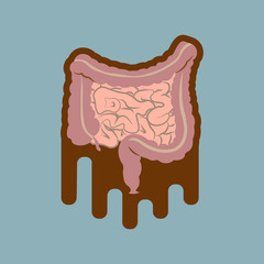 Human digestive system intestines gut anatomy gastrointestinal tract diagram. Meteorism, Enteritis, Colitis, Ulcerative Colitis, Dysbacteriosis, Diarrhea. Diseases of the intestine