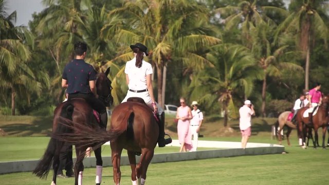 Polo Sport Game