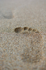 Footprint in the Sand