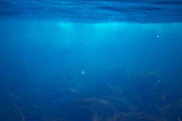 Fototapeta na wymiar sea water texture, underwater background