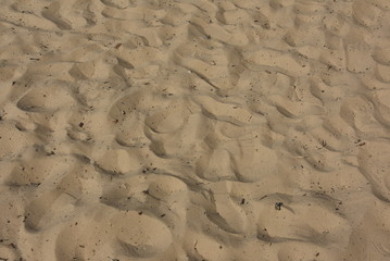 sandy desert
