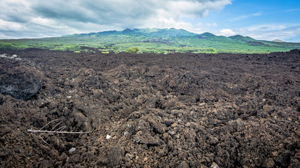 Maui Landscape