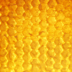 square delicious Golden background of bee honeycombs filled with sweet sticky honey