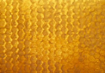 delicious Golden background of bee honeycombs filled with sweet sticky honey
