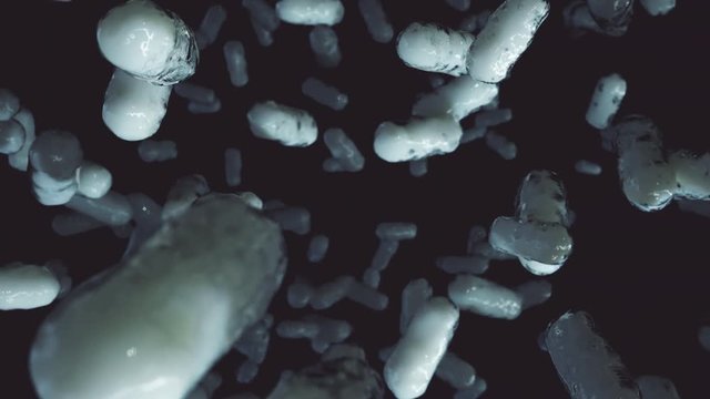 Flying through a colony of bacteria
