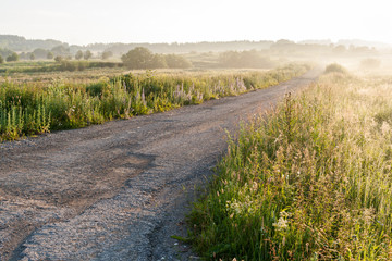 Rural road among meadows in the summer at dawn.
