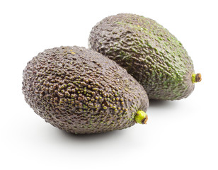Two avocado isolated on white background ripe green brown alligator pear.