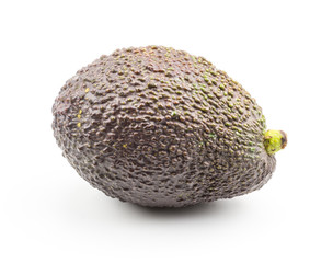One avocado isolated on white background ripe green brown alligator pear.