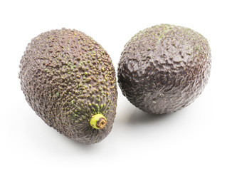 Two green brown avocado isolated on white background ripe alligator pear.
