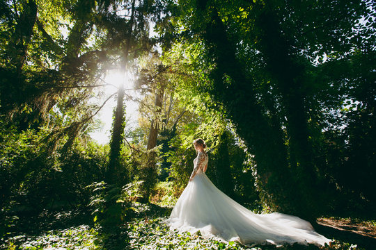 Beautiful wedding photosession. The young cute bride in a elegant white lace dress with a long plume and exquisite hairstyle in the middle of the trees in a large green garden on weathery sunny day