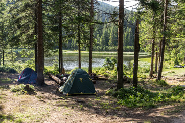 Tourist tents in the forest. Lake in the forest.