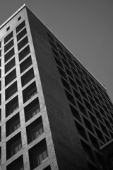 Fototapeta na wymiar Rascacielos blanco y negro