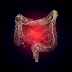 3D human organ Medicine concept with line. Human digestive system intestines gut anatomy gastrointestinal tract diagram. Meteorism, Enteritis, Colitis Dysbacteriosis