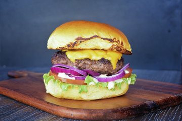 hamburguer, burguer