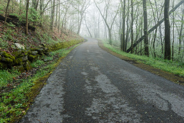 Fototapeta na wymiar Country Road In Fog