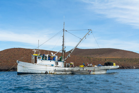 Barco de pesca del atún.
