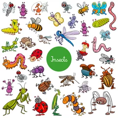 Foto op Plexiglas cartoon insects animal characters big set © Igor Zakowski