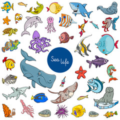 Obraz premium kreskówka zestaw znaków życia morskiego