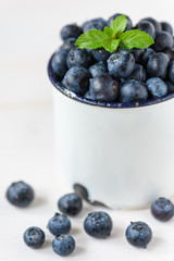 Heidelbeeren / Blaubeeren mit Minze dekoriert, in einer Tasse, frisch nach der Ernte