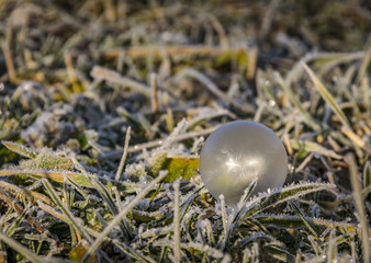 This is a frozen soap bubble on the ground 