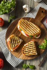Healthy Grilled Basil Mozzarella Caprese Panini