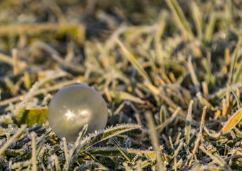 This is a frozen soap bubble close up 