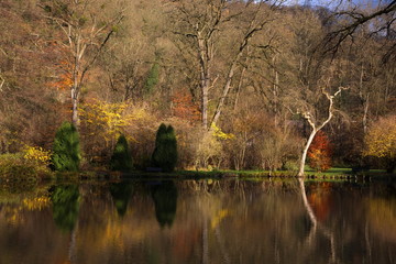 herbst spiegelung