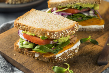 Healthy Homemade Vegetarian Veggie Sandwich