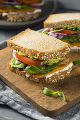 Healthy Homemade Vegetarian Veggie Sandwich