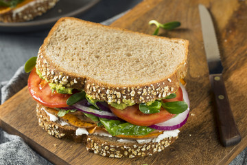Healthy Homemade Vegetarian Veggie Sandwich