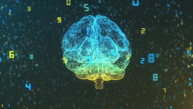 3D Render of brain in wireframe in cloud of digital information illustrating computer and AI concepts