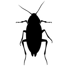 Cockroach, insect, pest, parasite (vector, black outline, silhouette)