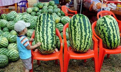 little boy next to the huge oval watermelons on the market