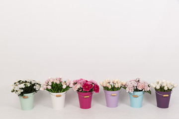 Peonías, tulipanes, rosas y otras flores en cubos de diferentes colores.