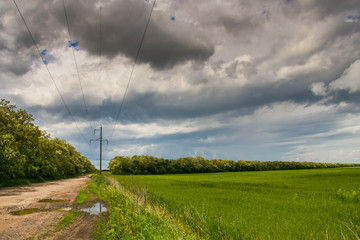 Fototapeta na wymiar A country road in the spring