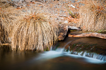 Fototapeta premium Wet Beaver Creek in Arizona