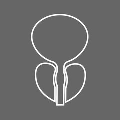 Stylized human prostate anatomy line icon.