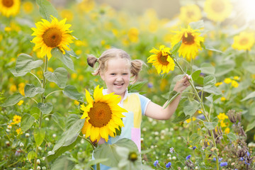 Child in sunflower field. Kids with sunflowers.